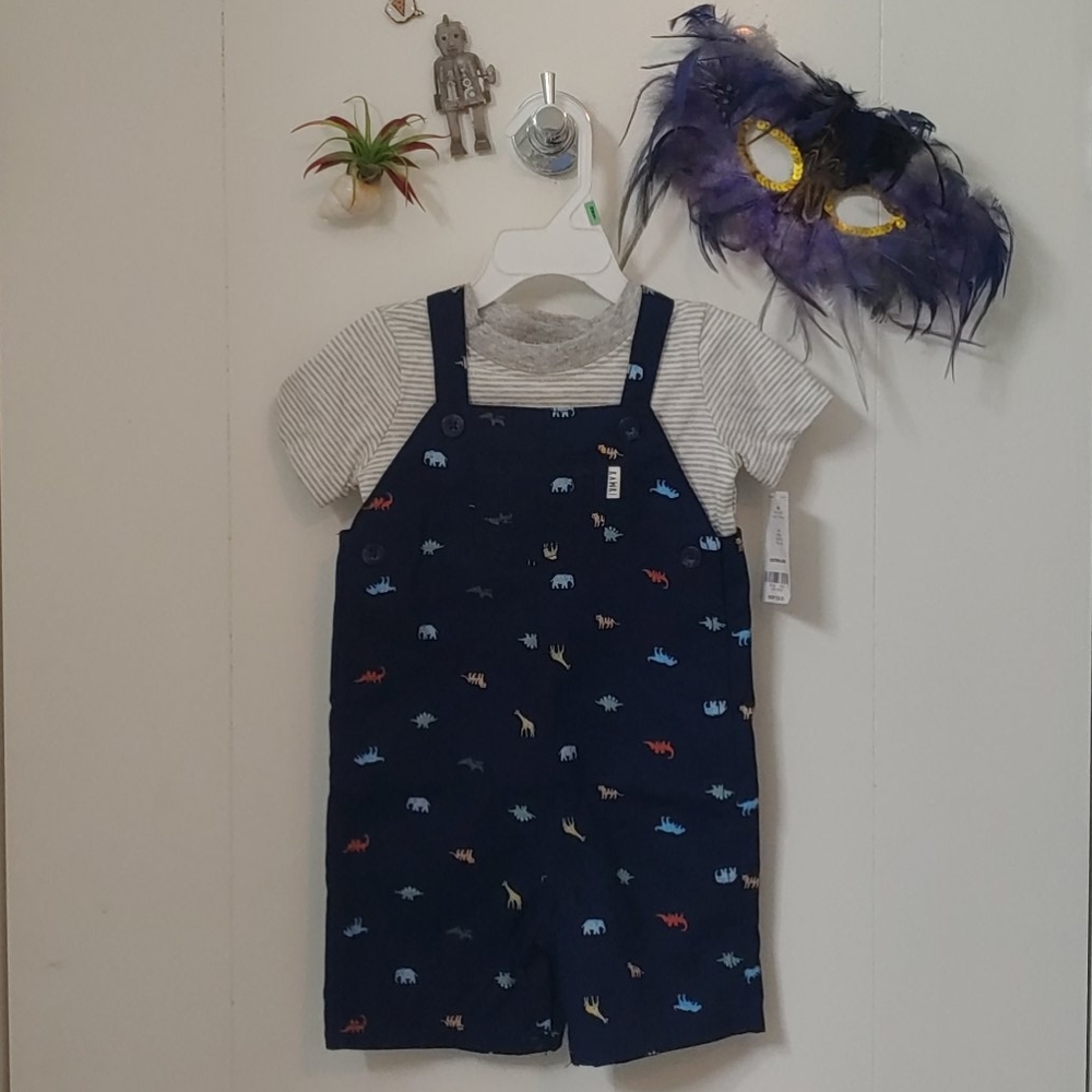 18m Carter's T-shirt and overall set